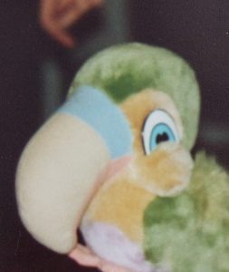 Patrick the parrot